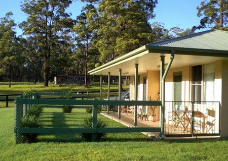 Neds Bed Horse O Tel - Hervey Bay Accommodation 1