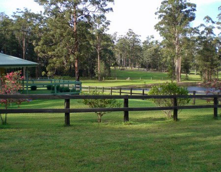 Neds Bed Horse O Tel - Hervey Bay Accommodation 2