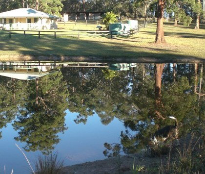 Neds Bed Horse O Tel - Hervey Bay Accommodation 4