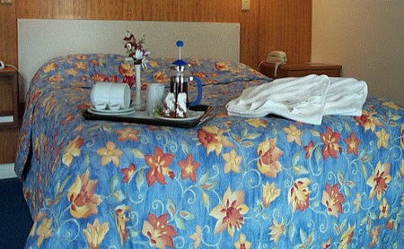 Bandicoot Motor Inn - Hervey Bay Accommodation 2