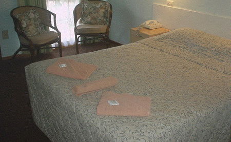 Bandicoot Motor Inn - Hervey Bay Accommodation 4