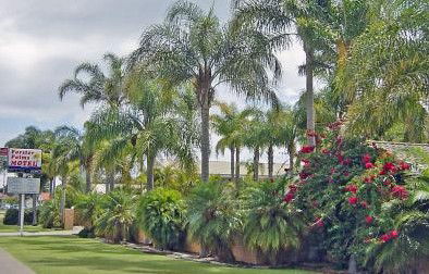 Forster Palms Motel - Hervey Bay Accommodation 2