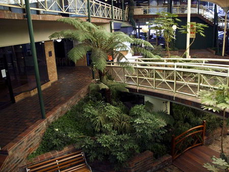 Mayfair Plaza Motel - Hervey Bay Accommodation 3