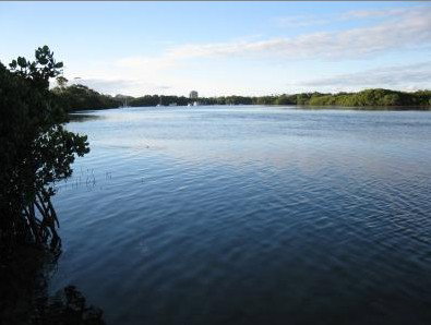 Calico Court Motel - Hervey Bay Accommodation 1