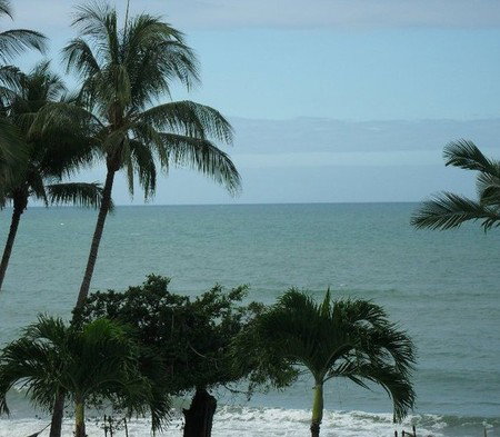 Turtle Cove Beach Resort - Hervey Bay Accommodation 2