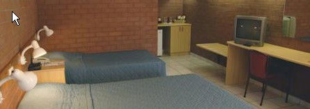 Pine Tree Motel - Hervey Bay Accommodation 0