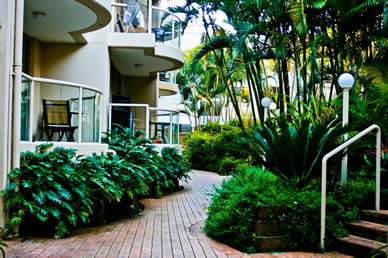 Miami Beachside Apartments - Tourism Hervey Bay 9