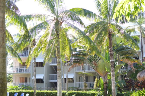 Cairns Beach Resort - Hervey Bay Accommodation 1
