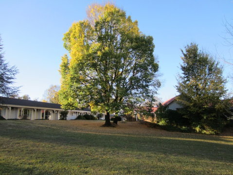 Moore Park Inn - Hervey Bay Accommodation 0