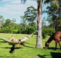 Neds Bed Horse O Tel - Hervey Bay Accommodation