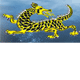 Dragon Phoenix Motel amp Restuarant - Hervey Bay Accommodation