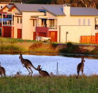 Grand Mercure The Vintage Hunter Valley - Hervey Bay Accommodation