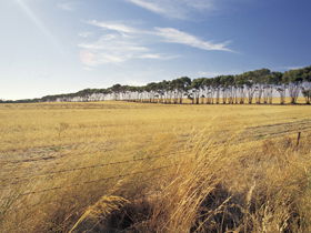  Hervey Bay Accommodation