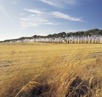 Port Wakefield Motel - Hervey Bay Accommodation