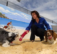 Hanrob Pet Hotels - Hervey Bay Accommodation