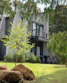 Margarets Forest - Hervey Bay Accommodation 0