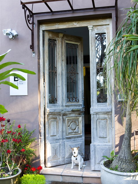 Bondi Beach House Accommodation - Hervey Bay Accommodation 0