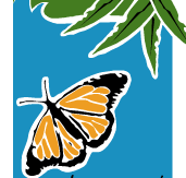 Wanderers Retreat - Hervey Bay Accommodation