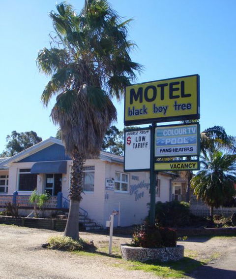 Blackboy Tree Motel - Hervey Bay Accommodation 0