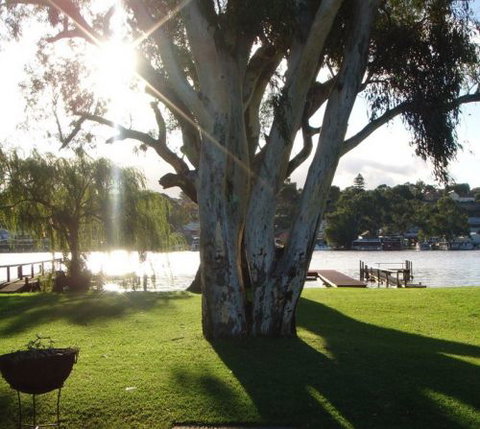 Eleven From The Left - Hervey Bay Accommodation 1