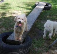 Beenleigh Pet Motel - Hervey Bay Accommodation