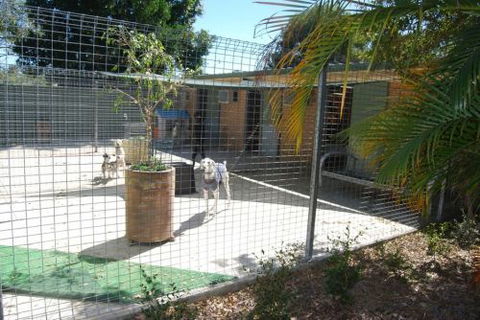 Beenleigh Pet Motel - Hervey Bay Accommodation 4