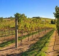 DeVine Escape - Hervey Bay Accommodation