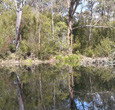 Sanctuary House Resort Motel - Healesville - Hervey Bay Accommodation 5