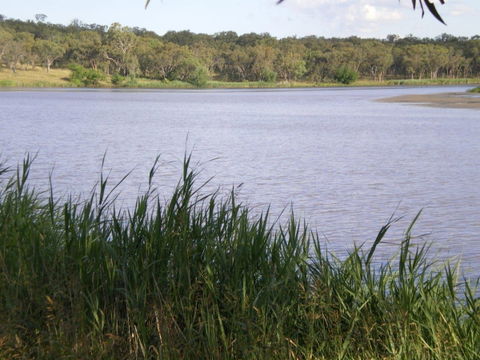Cousins Motor Inn - Hervey Bay Accommodation 3