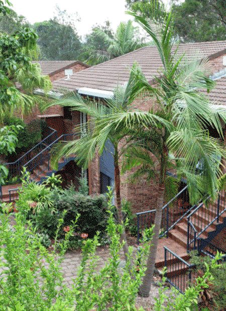 Boambee Bay Resort - Hervey Bay Accommodation 1