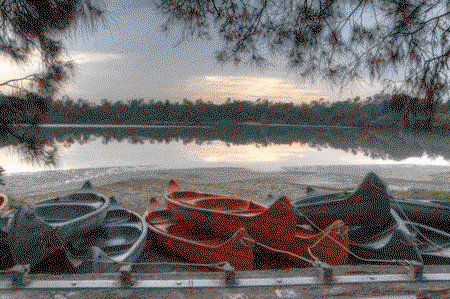 Boambee Bay Resort - Hervey Bay Accommodation 5