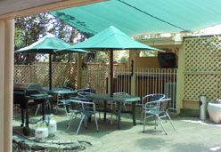 City Palms Motel - Hervey Bay Accommodation 4