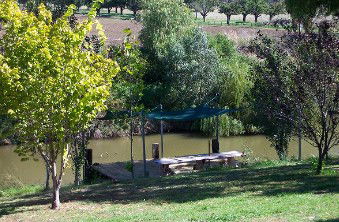 Colonial Inn Tamworth - Hervey Bay Accommodation 3