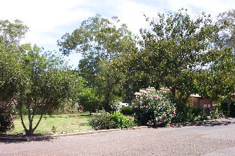 Colonial Inn Tamworth - Hervey Bay Accommodation 4