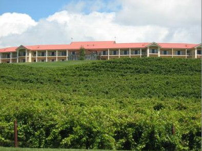 Turners Vineyard - Hervey Bay Accommodation 4