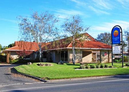 Comfort Inn Silver Birch - Hervey Bay Accommodation 0