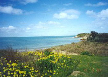 Southern Ocean Tourist Park - Hervey Bay Accommodation 1