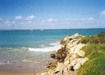 Southern Ocean Tourist Park - Hervey Bay Accommodation 2