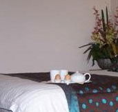 Best Western Ambassador Motor Inn - Tourism Hervey Bay