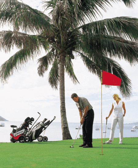 Adventure Island Whitsundays (south Molle Island) - Hervey Bay Accommodation 2