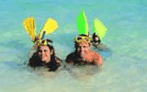 Adventure Island Whitsundays (south Molle Island) - Hervey Bay Accommodation 5