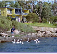 Almonta Holiday Apartments - Hervey Bay Accommodation