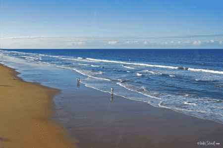 The Edge On Beaches - Tourism Hervey Bay 2