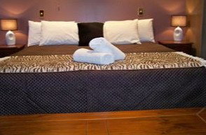 Bohemia Resort Cairns - Hervey Bay Accommodation 1