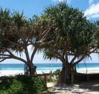 Pacific Surf Absolute Beachfront Apartments - Hervey Bay Accommodation
