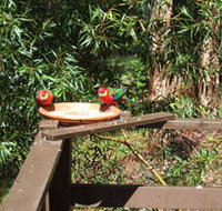 Tree Tops - Hervey Bay Accommodation