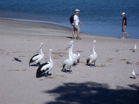 Kalbarri Accommodation Service - Hervey Bay Accommodation 5