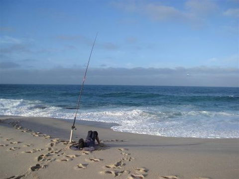 Kalbarri Accommodation Service - Hervey Bay Accommodation 7