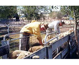 Old Nubba Schoolhouse - Hervey Bay Accommodation 0