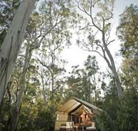 Paperbark Camp - Hervey Bay Accommodation